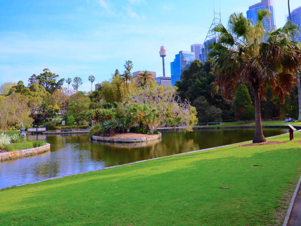 istock Park in Sydney Gardens on a spring afternoon 1180925262