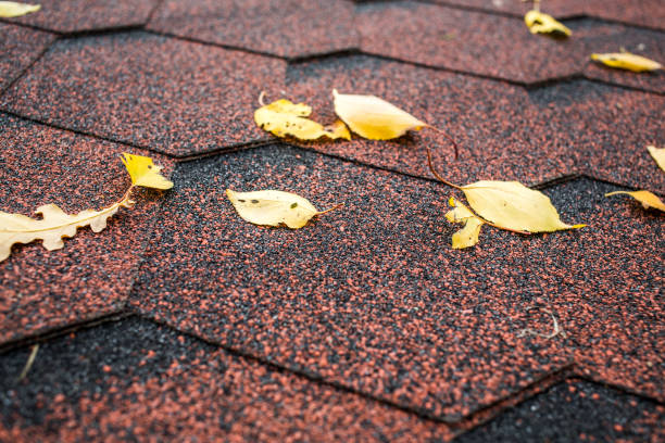 istock Autumn roof background with fallen leaves 1180925950