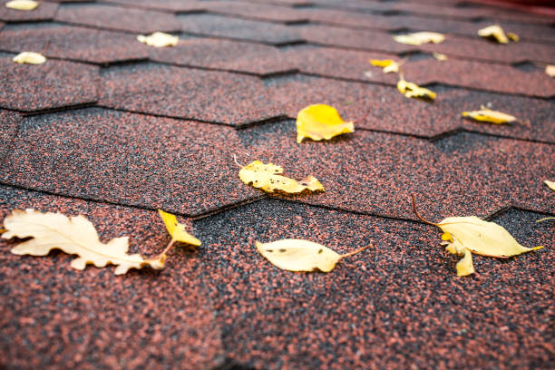 istock Autumn roof background with fallen leaves 1180925955