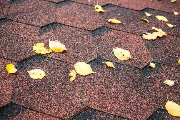 istock Autumn roof background with fallen leaves 1180925956