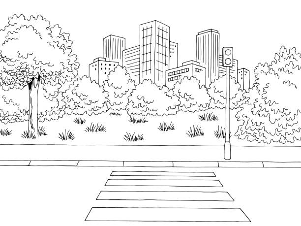 illustrazioni stock, clip art, cartoni animati e icone di tendenza di crosswalk street road grafica bianco nero città paesaggio disegno illustrazione vettore - parco pubblico illustrazioni