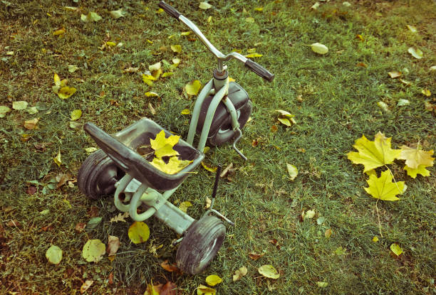 Bike with autumn leaves