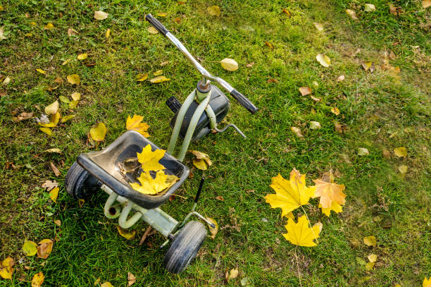 istock Bike with autumn leaves 1180926347