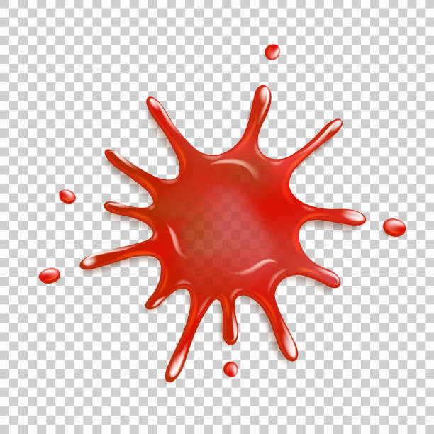 Realistic blood spatter vector art illustration