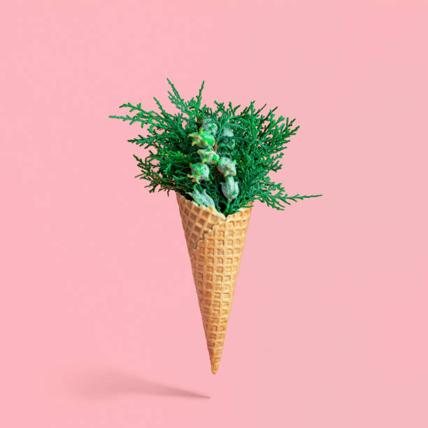 istock Bouquet of cypress branches in ice cream cone 1180932817