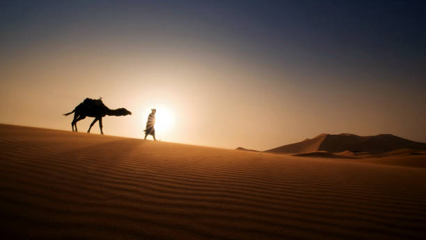 istock The Bedouin walks through the desert with a camel 1180935689