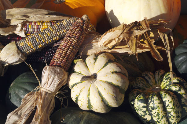 squash corn market organic agriculture farm food