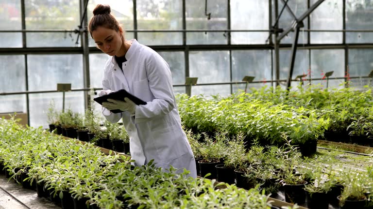 Quality control in the greenhouse