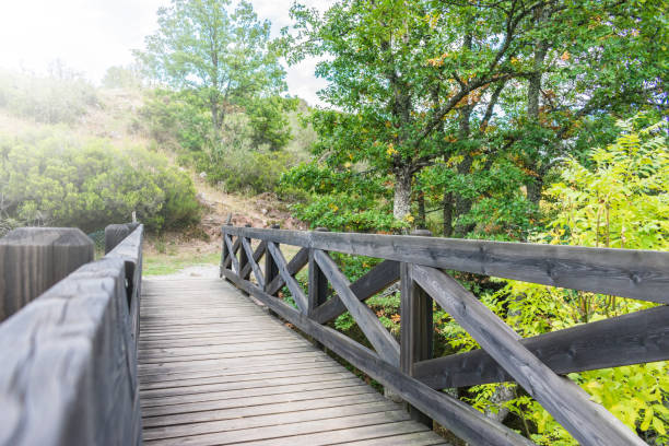 istock dark wooden bridge over river in a mountain forest 1180937581