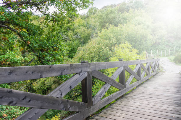 istock dark wooden bridge over river in a mountain forest 1180938104