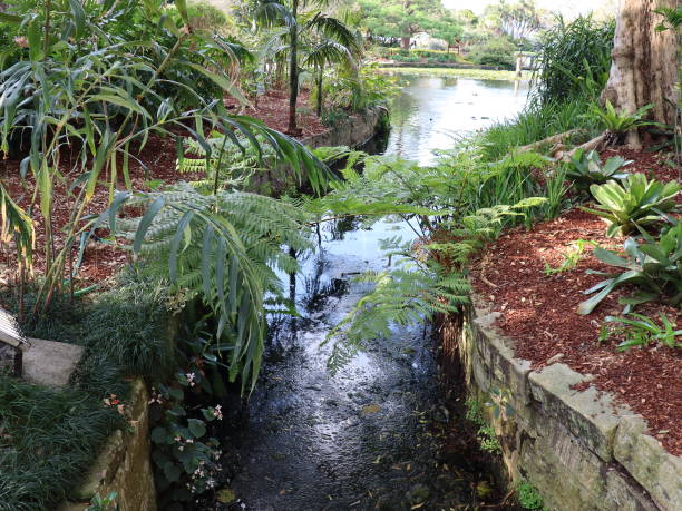 istock Spring colours in a Sydney park 1180949114