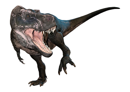 3d Illustration Dinosaur Tyrannosaurus Rex On White Stock Photo - Download  Image Now - iStock
