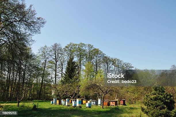 Soporte De Urticaria Foto de stock y más banco de imágenes de Abeja - Abeja, Aire libre, Colmena