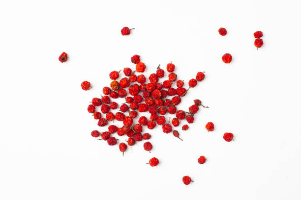 istock A bunch of dried Rowan berries on a white background 1180951292