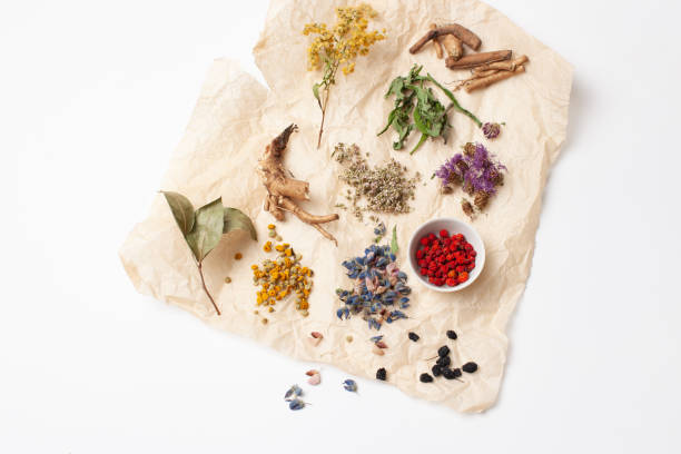 istock Herbal medicine ingredients on a white background 1180951458