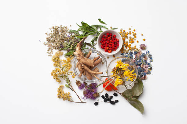 istock Herbal medicine ingredients on a white background 1180951563
