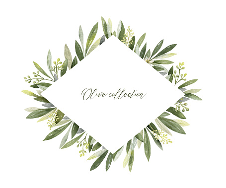 Watercolor vector frame of olive branches and flowers.