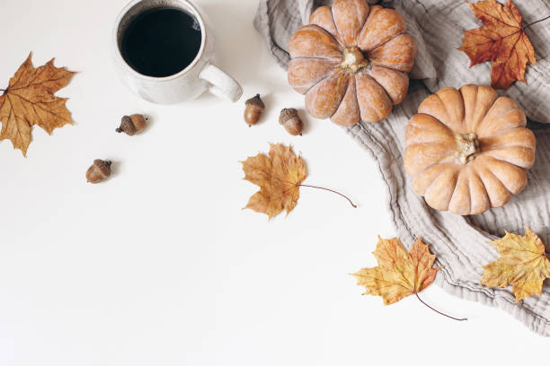 istock Autumn, fall decorative floral frame, banner. Composition of orange pumpkins, colorful maple leaves, cotton plaid, cup of coffee and acorns isolated on white table background. Flat lay, top view. 1180954171
