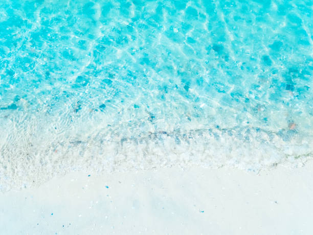 istock Sea shore - a beach with white sand, shells and stones 1180954252