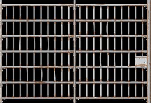 Prison iron bars in vector