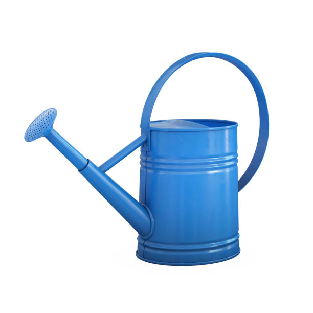 istock Watering can, shiny blue gardening tool isolated on white background 1180956953