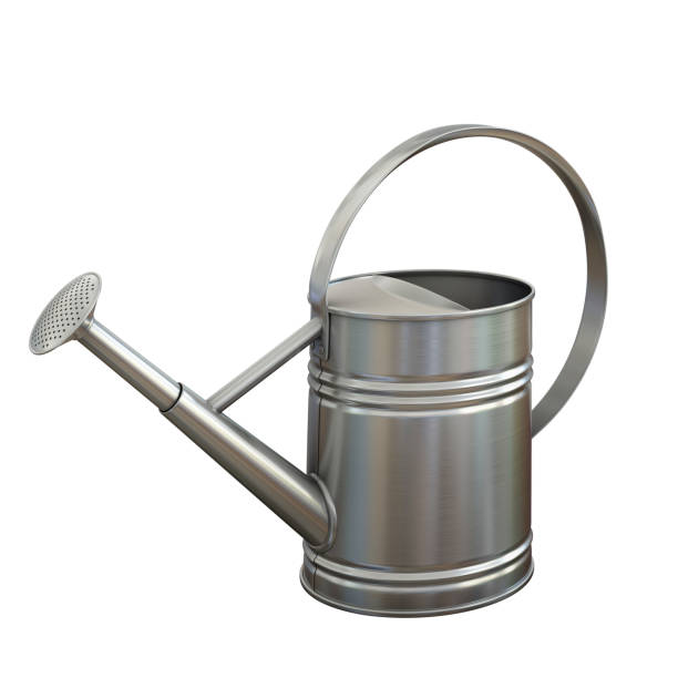 istock Watering can, shiny aluminum gardening tool isolated on white background 1180956961