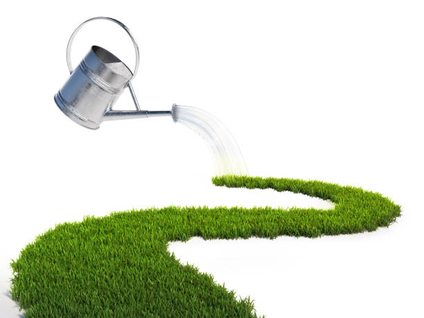 istock Watering can pouring water on the grass pathway 1180957480