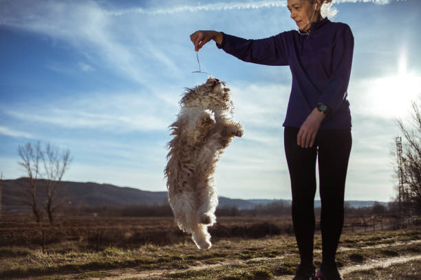 istock Senior woman playing with dog 1180957663