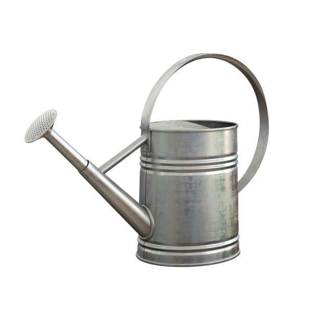 istock Watering can, shiny aluminum gardening tool isolated on white background 1180957888