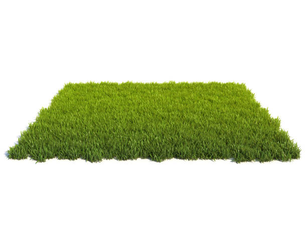 草、草の表彰台、芝生の背景で覆われた小さな正方形の表面 - 芝草 ストックフォトと画像