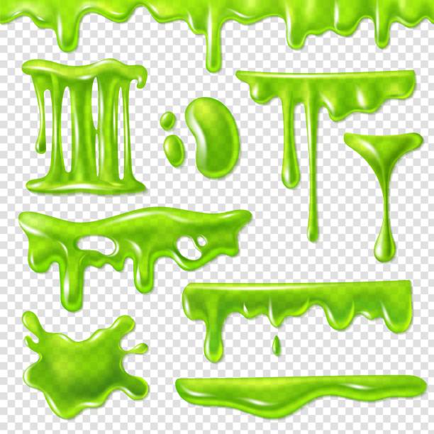 ilustraciones, imágenes clip art, dibujos animados e iconos de stock de limo verde realista. manchas tóxicas delgadas, salpicaduras de goo y manchas de moco. decoración líquida de halloween bordea el conjunto vectorial aislado 3d - mucosidad