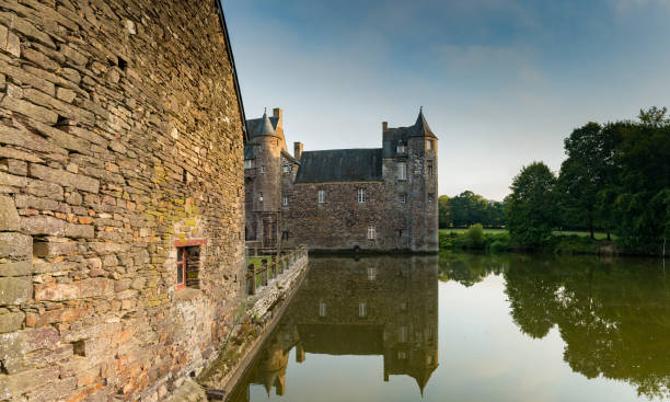 view of the historic Chateau Trecesson castle in the Broceliande Forest with reflections in the pond Campeneac, Brittany / France - 26 August 2019: view of the historic Chateau Trecesson castle in the Broceliande Forest with reflections in the pond foret de paimpont stock pictures, royalty-free photos & images