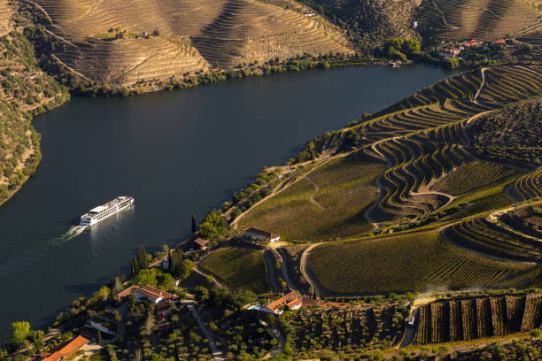 patrimonio mondiale dell'unesco, la valle del douro belle linee infinite di vigneti. - the douro foto e immagini stock