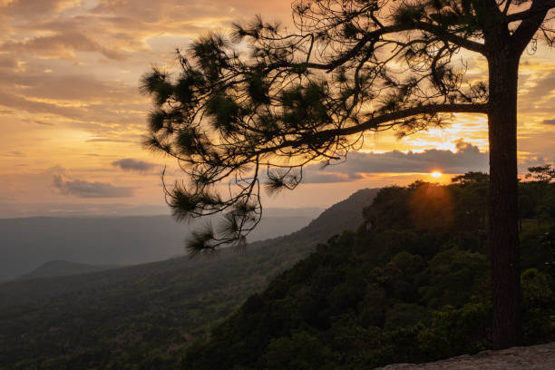 istock Famous place in Thailand (Sunset at  Phukadueng National park) 1180962758