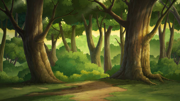 illustrations, cliparts, dessins animés et icônes de illustration des arbres dans la forêt le soir. - ashen