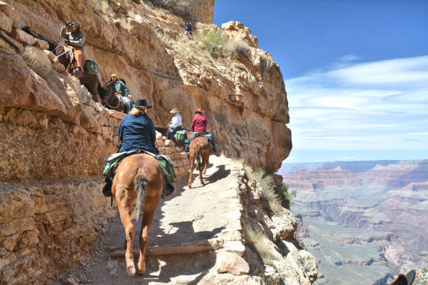 Subject: A native American Indian cowboy riding a horse in a desert landscape with plateaus in the distance.