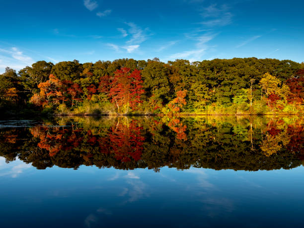 istock Stunning autumn foliage background 1180966833