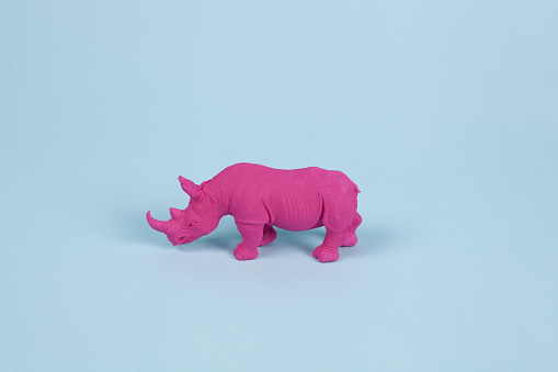 a pink fuschia rhinoceros, set on a blue background. Pop atmosphere. minimal color still life photography pop atmosphere. Minimal color still life photograph