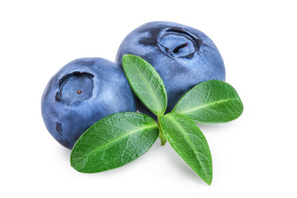 istock fresh blueberry with leaves isolated on white background closeup 1180969158