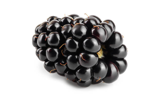amora-preta isolada em um close up branco do fundo - blackberry fruit mulberry isolated - fotografias e filmes do acervo