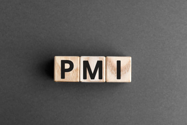 PMI - acronym from wooden blocks with letters PMI - acronym from wooden blocks with letters, abbreviation PMI Private Mortgage Insurance, Purchasing Managers Index concept, gray background electronic organizer photos stock pictures, royalty-free photos & images