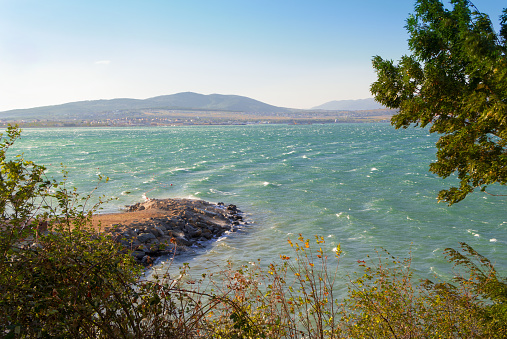 Windy weather at sea background. Storm in Gelendzhik Bay caused by wind from the mountains. Turquoise Sea waves with crest foam. Branches of bending trees and bushes in foreground.Rocky shore in frame