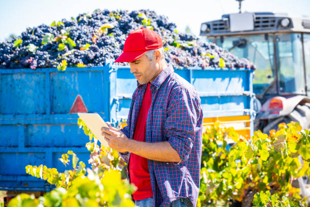 winemaker proprietario vigneto con tablet pc controllo qualità - ipad farmer agronomy pc foto e immagini stock