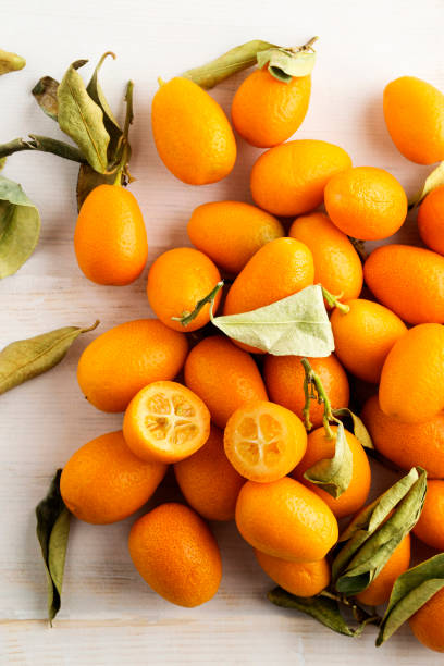 kumquats, citrus fruit - plant macro studio shot outdoors fotografías e imágenes de stock