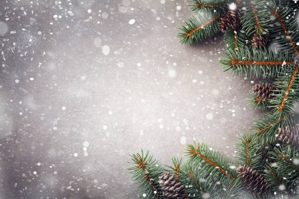 istock Christmas winter background. Fir tree branches with cones top view. Snow effect. 1180973361