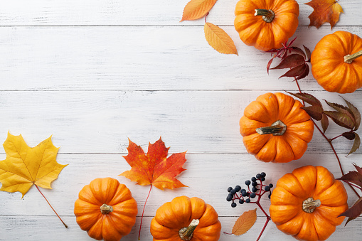 Autumn Thanksgiving background. Pumpkins and leaves on white table top view with copy space.