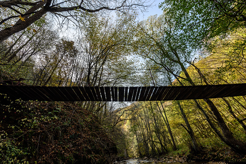 Rope bridge on the river in autumn forest, from below.