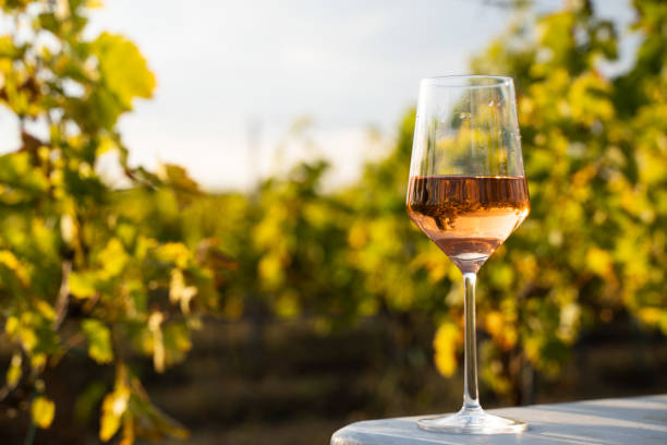 glass of rose wine on a table in the vineyard with blue sky closeup front view glass of rose wine on table in the morning light with green vineyard leaves and blue sky in the background rose wine photos stock pictures, royalty-free photos & images