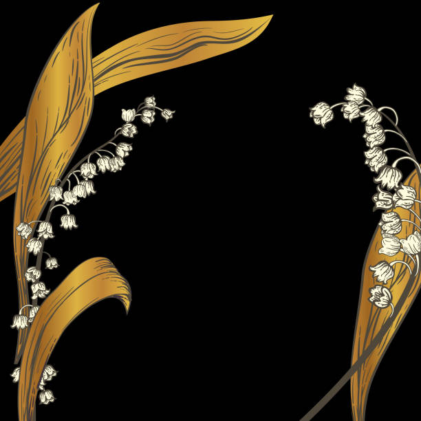 Lily Of The Valley Background In Black And Gold Detailed Botanical Lily Of The Valley Background. Lots of room for text lily of the valley garden stock illustrations