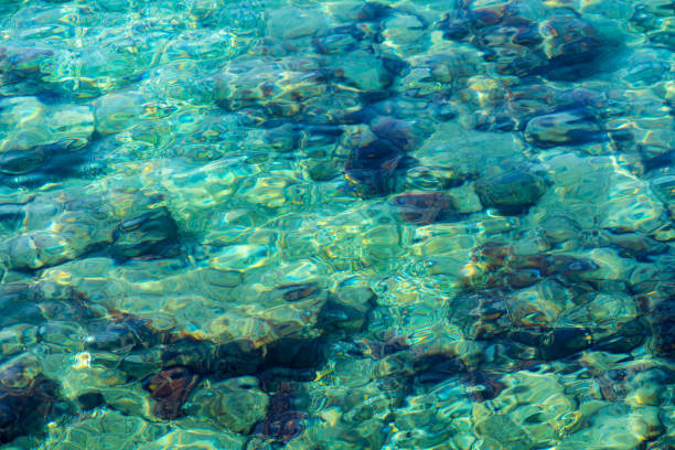 istock Through the thickness of the transparent water 1180975837